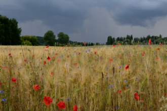 10 Ways AI Helps in Severe Thunderstorm Warnings