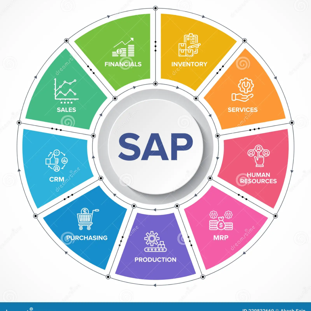 SAP Enterprise Resource Planning